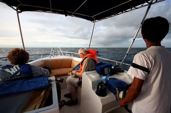 Whale Watching in Mirissa, Whales Watching Boat Trips in Mirissa, Mirissa Water Sports
